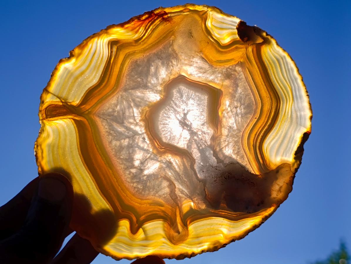 Polished Concentric Ring Agate Slices with Natural Edging x 6 From Madagascar