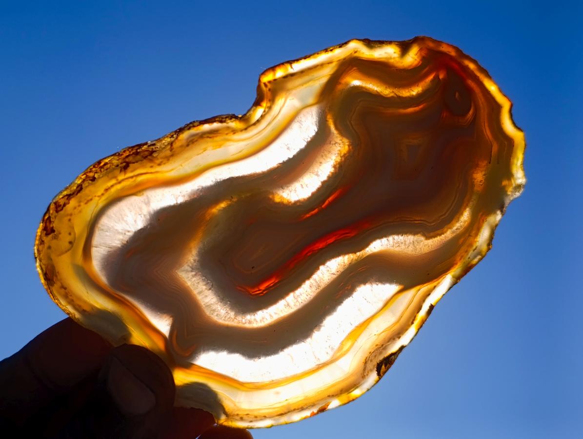 Polished Concentric Ring Agate Slices with Natural Edging x 6 From Madagascar