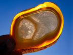 Polished Concentric Ring Agate Slices with Natural Edging x 6 From Madagascar