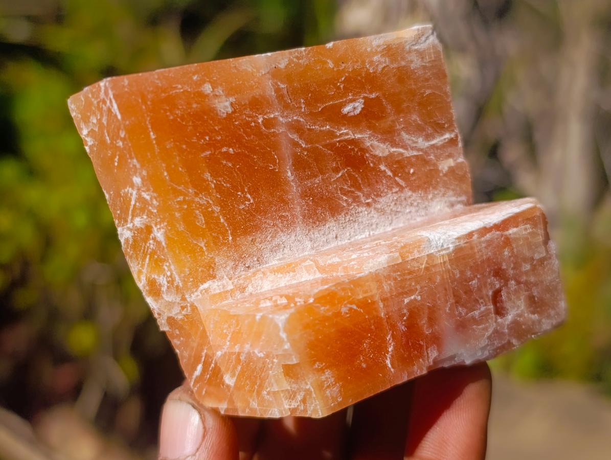 Natural Rhombohedral Sunset Orange Calcite Specimens x 12 From Spitzkop, Namibia