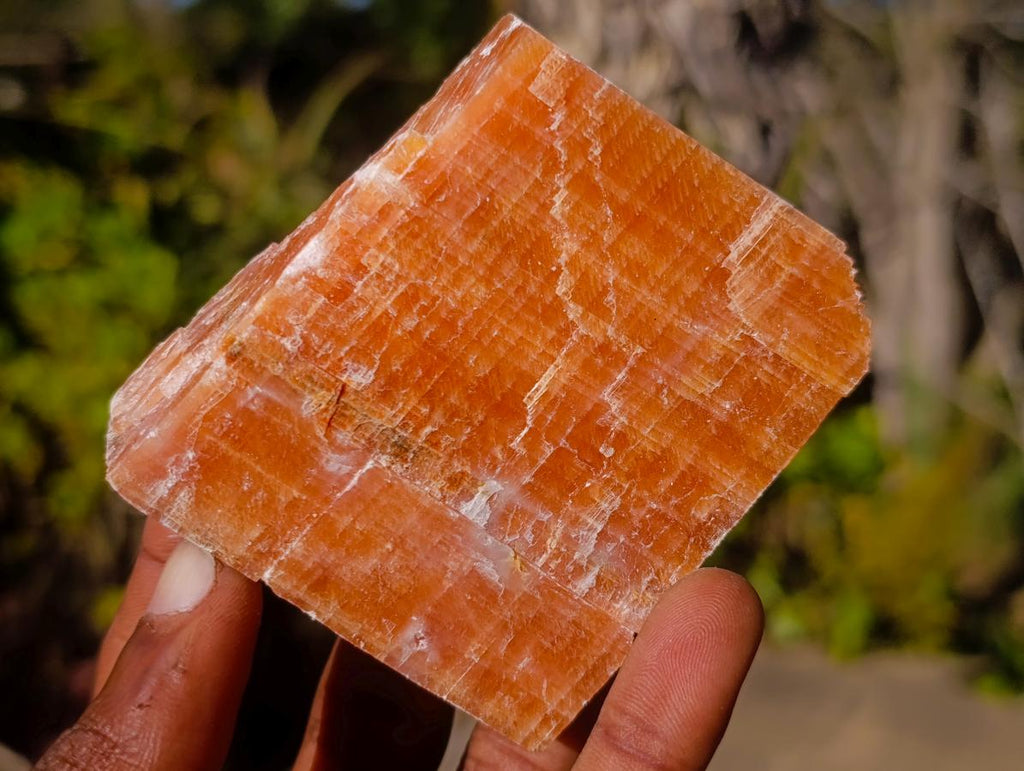 Natural Rhombohedral Sunset Orange Calcite Specimens x 12 From Spitzkop, Namibia