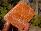 Natural Rhombohedral Sunset Orange Calcite Specimens x 12 From Spitzkop, Namibia