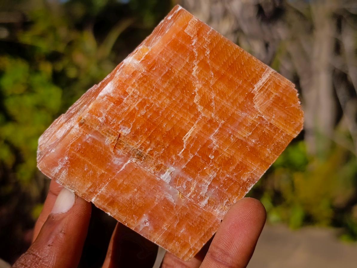 Natural Rhombohedral Sunset Orange Calcite Specimens x 12 From Spitzkop, Namibia