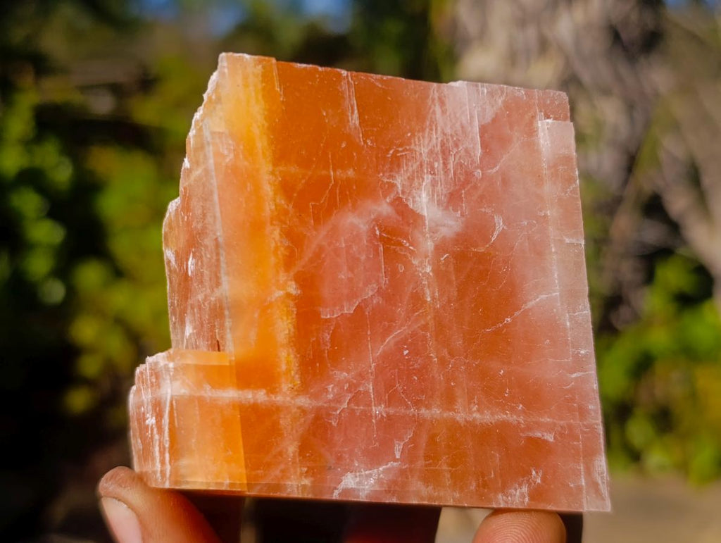 Natural Rhombohedral Sunset Orange Calcite Specimens x 12 From Spitzkop, Namibia