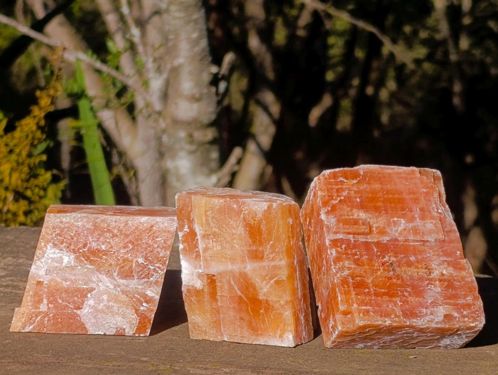 Natural Rhombohedral Sunset Orange Calcite Specimens x 12 From Spitzkop, Namibia