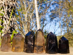 Polished Smokey Quartz Display Crystals x 6 From Madagascar