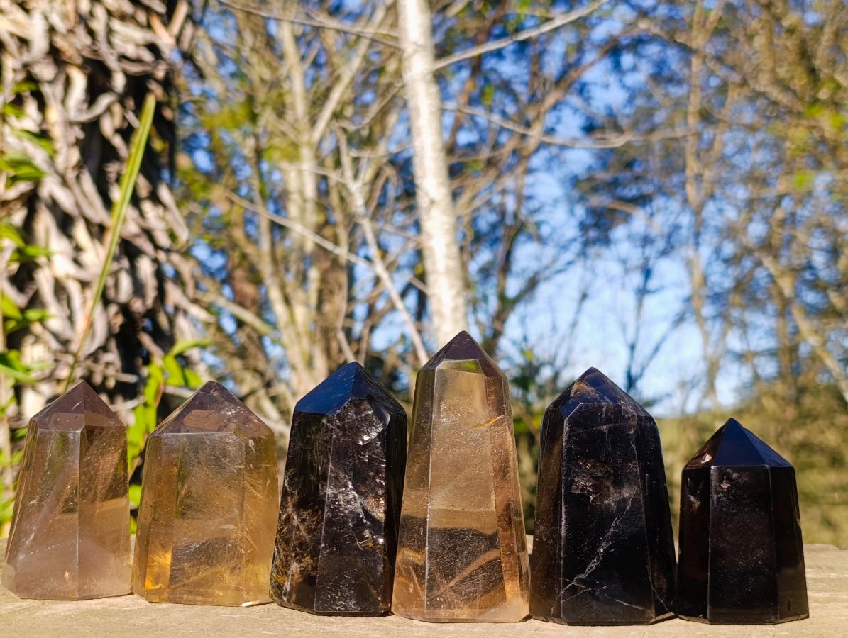 Polished Smokey Quartz Display Crystals x 6 From Madagascar