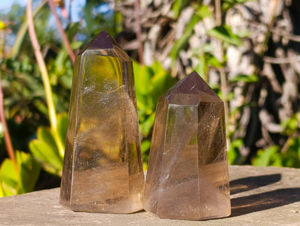 Polished Smokey Quartz Display Crystals x 6 From Madagascar