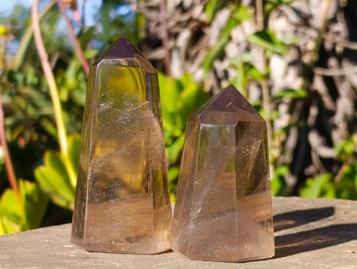 Polished Smokey Quartz Display Crystals x 6 From Madagascar