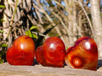 Polished Carnelian Agate Gemstone Hearts x 24 From Madagascar