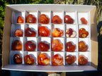 Polished Carnelian Agate Gemstone Hearts x 24 From Madagascar