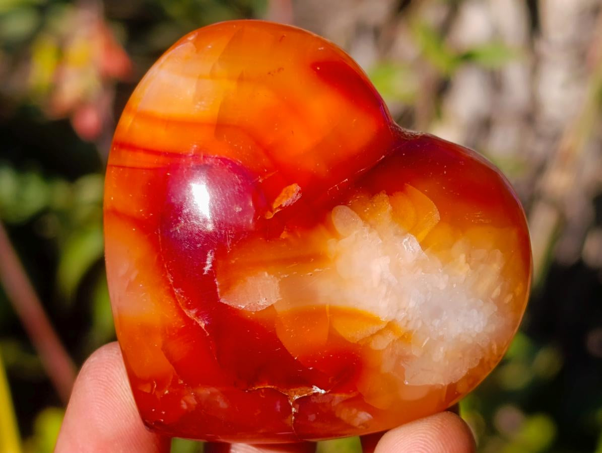 Polished Carnelian Agate Gemstone Hearts x 24 From Madagascar