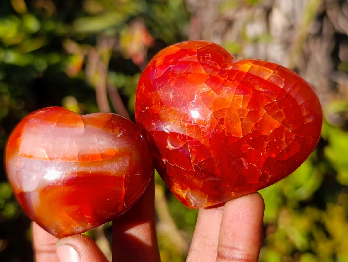 Polished Carnelian Agate Gemstone Hearts x 24 From Madagascar