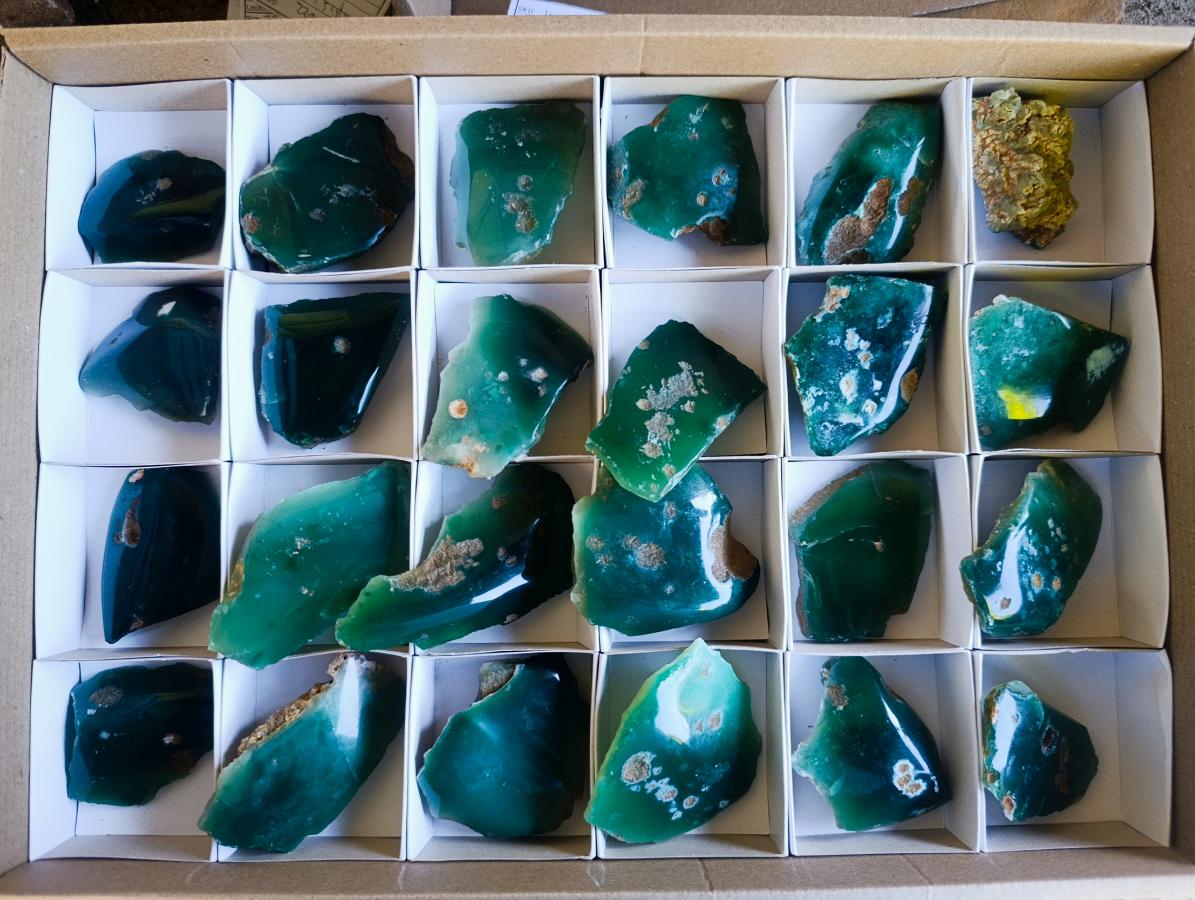 Polished One Side Mtorolite Chrysoprase Slices x 24 From Mutorashanga, Zimbabwe