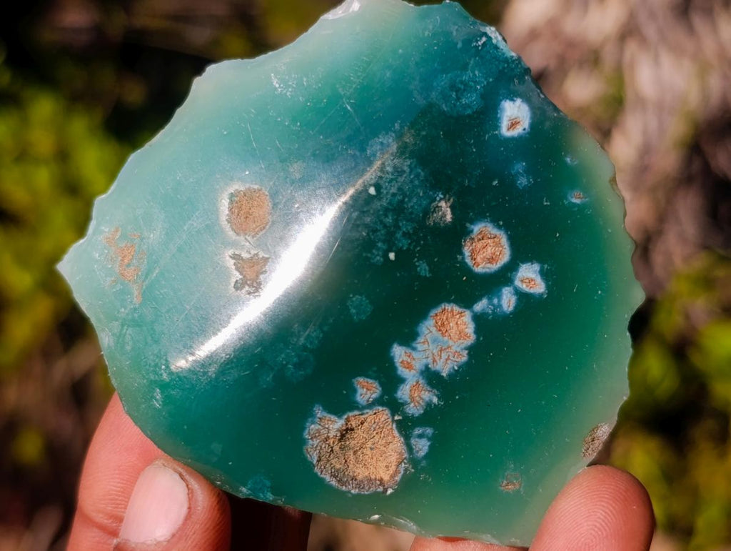 Polished One Side Mtorolite Chrysoprase Slices x 24 From Mutorashanga, Zimbabwe