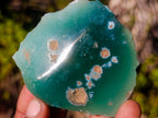 Polished One Side Mtorolite Chrysoprase Slices x 24 From Mutorashanga, Zimbabwe