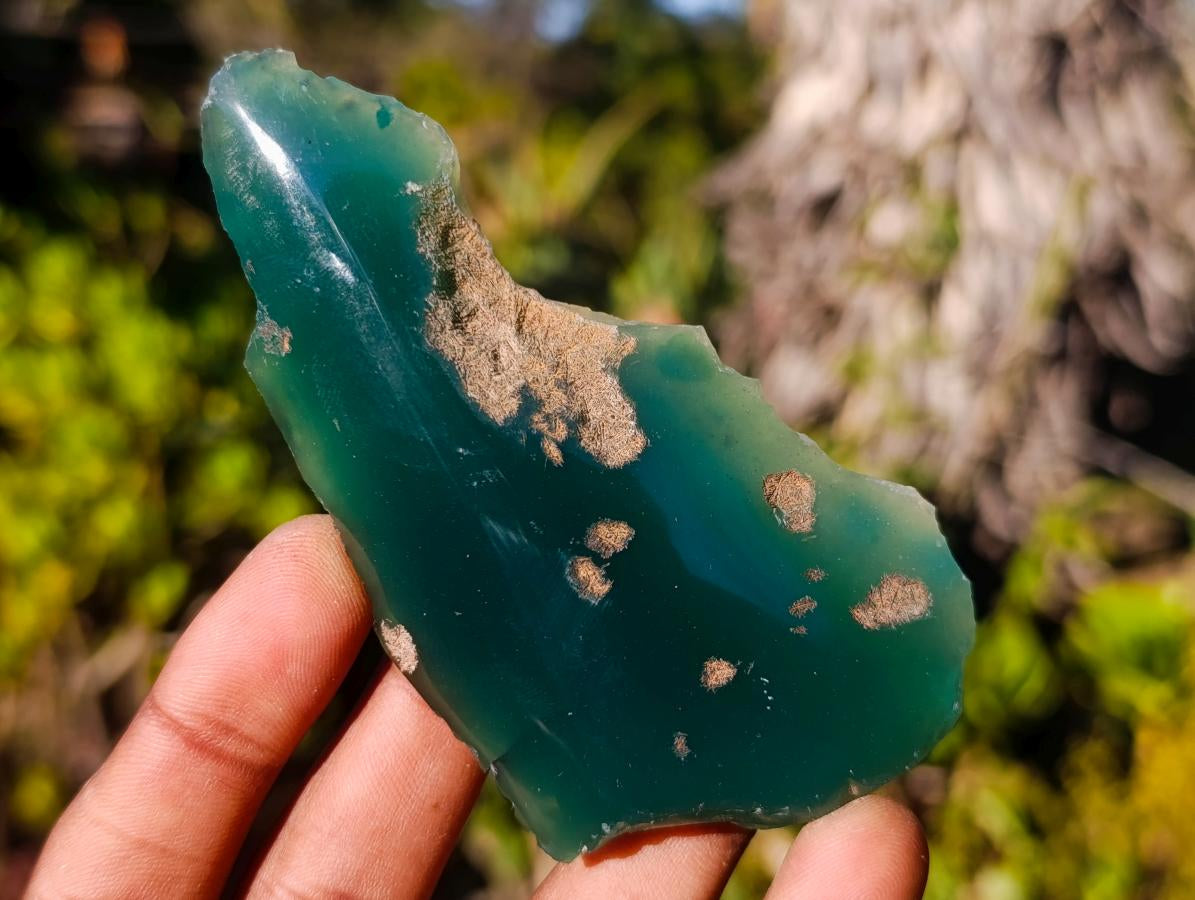 Polished One Side Mtorolite Chrysoprase Slices x 24 From Mutorashanga, Zimbabwe