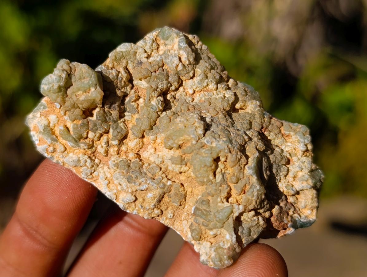 Polished One Side Mtorolite Chrysoprase Slices x 24 From Mutorashanga, Zimbabwe