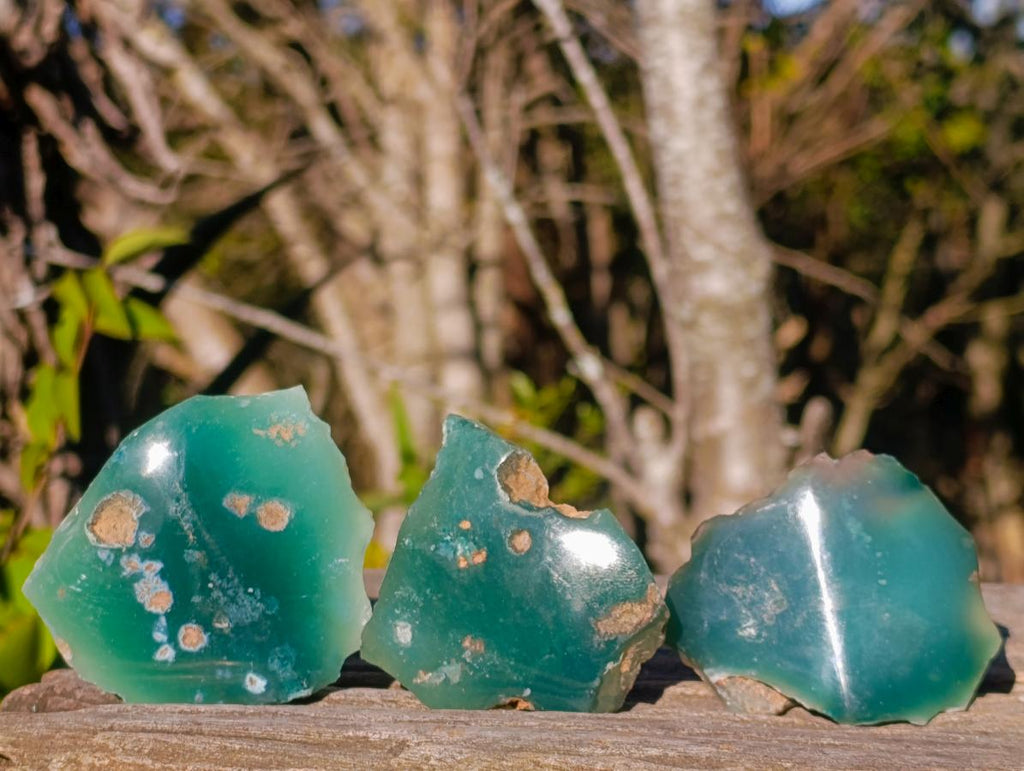 Polished One Side Mtorolite Chrysoprase Slices x 24 From Mutorashanga, Zimbabwe