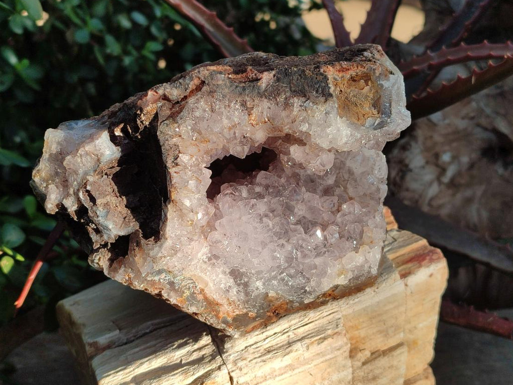 Natural Large Agate Amethyst Geode x 1 From Maintirano, Madagascar - Toprock Gemstones and Minerals 