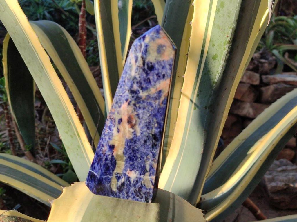 Polished Sodalite Display Crystals x 3 From Kunene River, Namibia - Toprock Gemstones and Minerals 