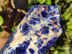Polished Sodalite Display Crystals x 3 From Kunene River, Namibia - Toprock Gemstones and Minerals 