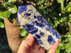 Polished Sodalite Display Crystals x 3 From Kunene River, Namibia - Toprock Gemstones and Minerals 