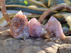 Natural Spirit Amethyst Clusters x 12 From Boekenhouthoek, South Africa - Toprock Gemstones and Minerals 