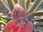 Natural Spirit Amethyst Clusters x 12 From Boekenhouthoek, South Africa - Toprock Gemstones and Minerals 