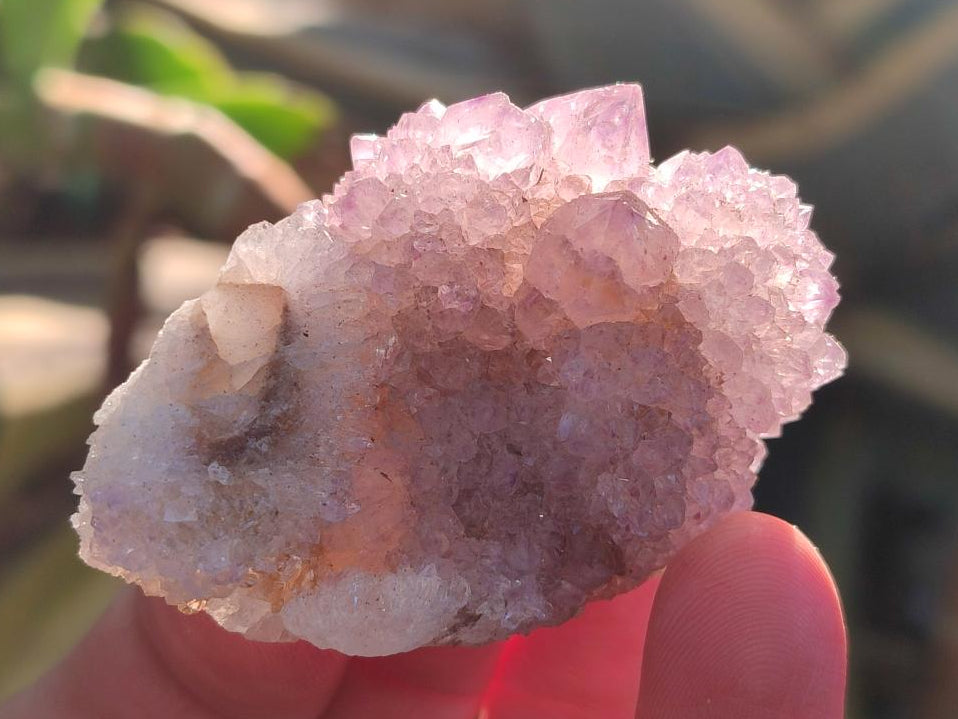 Natural Spirit Amethyst Clusters x 12 From Boekenhouthoek, South Africa - Toprock Gemstones and Minerals 