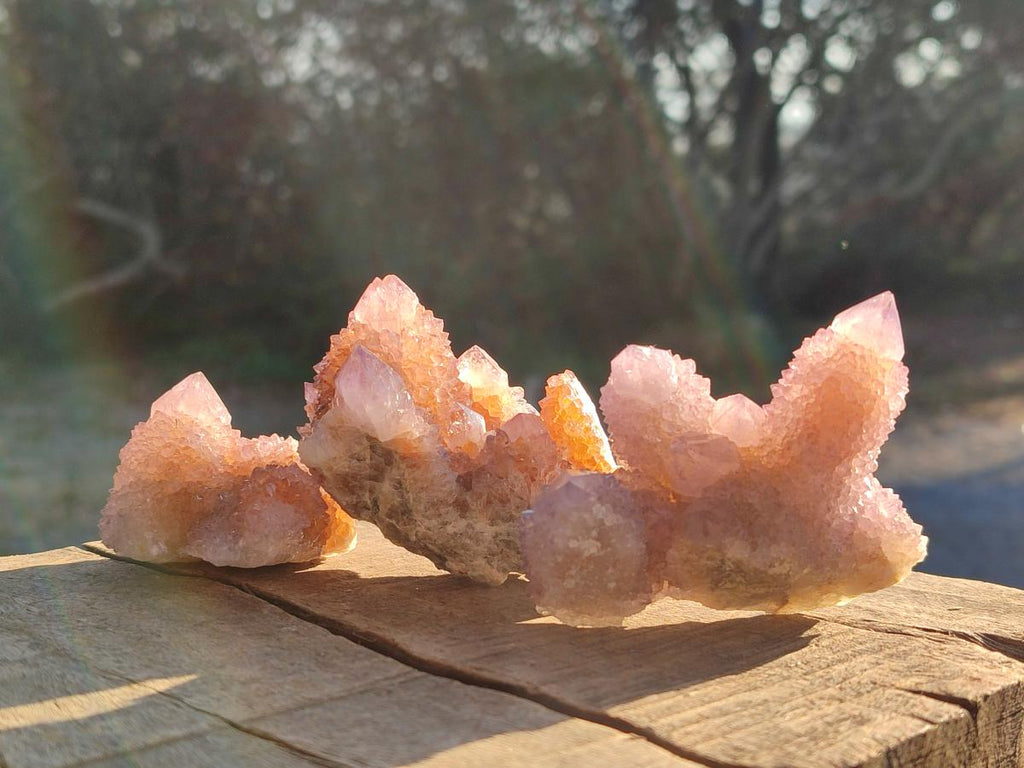 Natural Spirit Amethyst Clusters x 12 From Boekenhouthoek, South Africa - Toprock Gemstones and Minerals 