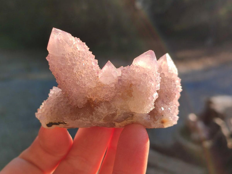 Natural Spirit Amethyst Clusters x 12 From Boekenhouthoek, South Africa - Toprock Gemstones and Minerals 