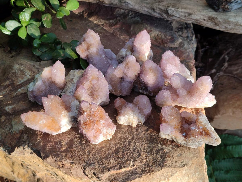 Natural Spirit Amethyst Clusters x 12 From Boekenhouthoek, South Africa - Toprock Gemstones and Minerals 