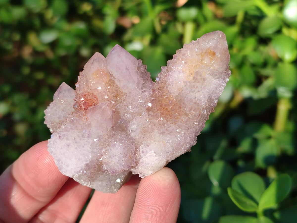 Natural Spirit Amethyst Clusters x 12 From Boekenhouthoek, South Africa - Toprock Gemstones and Minerals 