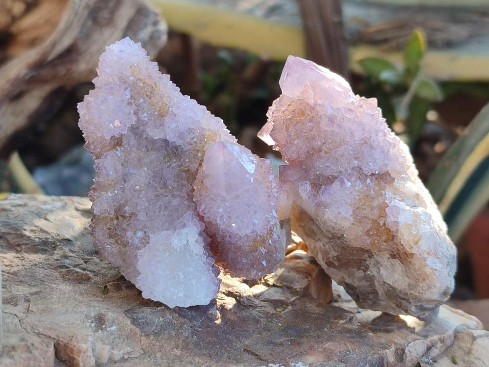 Natural Spirit Amethyst Clusters x 12 From Boekenhouthoek, South Africa - Toprock Gemstones and Minerals 