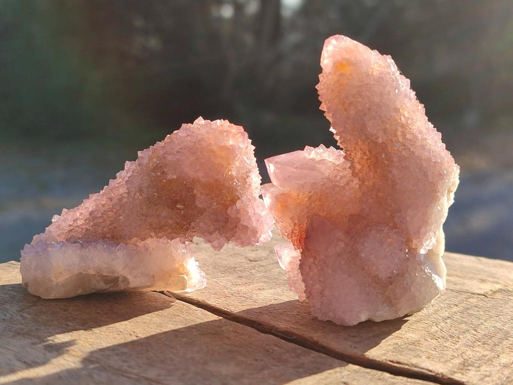 Natural Spirit Amethyst Clusters x 12 From Boekenhouthoek, South Africa - Toprock Gemstones and Minerals 