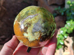 Polished Green Opal Spheres x 2 From Betroka, Madagascar - Toprock Gemstones and Minerals 