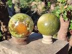 Polished Green Opal Spheres x 2 From Betroka, Madagascar - Toprock Gemstones and Minerals 