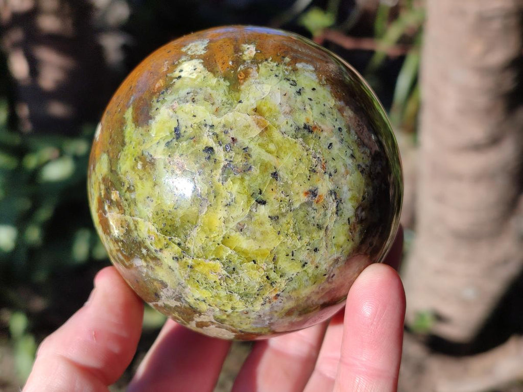 Polished Green Opal Spheres x 2 From Betroka, Madagascar - Toprock Gemstones and Minerals 