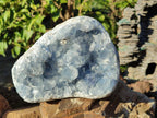 Natural Cabinet Size Blue Celestite Specimen x 1 From Sakoany, Madagascar - Toprock Gemstones and Minerals 
