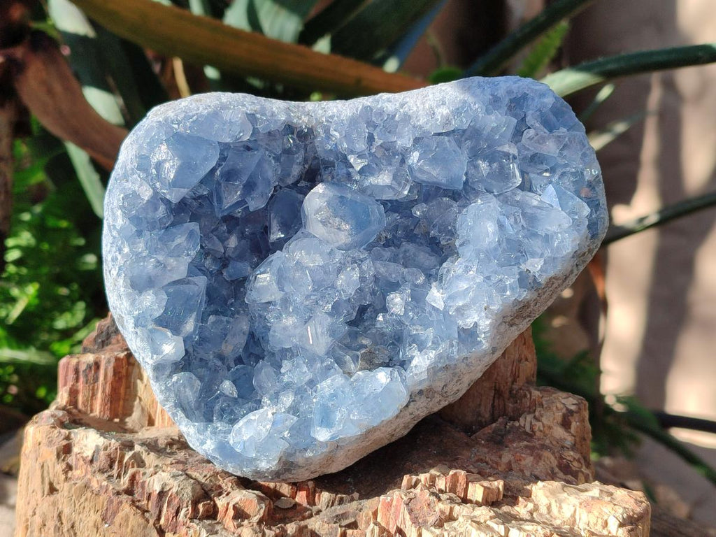 Natural Cabinet Size Blue Celestite Specimen x 1 From Sakoany, Madagascar - Toprock Gemstones and Minerals 