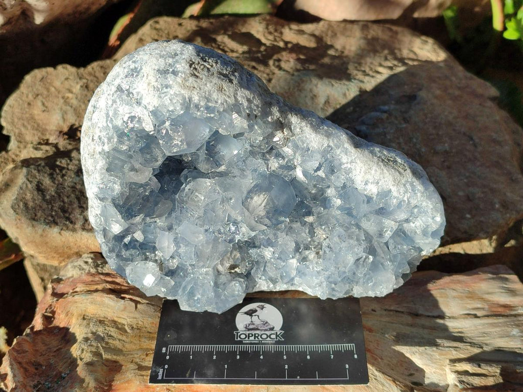 Natural Cabinet Size Blue Celestite Specimen x 1 From Sakoany, Madagascar - Toprock Gemstones and Minerals 