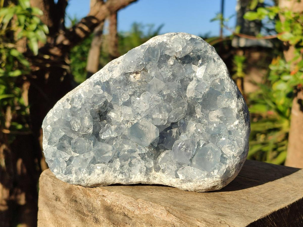 Natural Cabinet Size Blue Celestite Specimen x 1 From Sakoany, Madagascar - Toprock Gemstones and Minerals 
