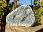 Natural Cabinet Size Blue Celestite Specimen x 1 From Sakoany, Madagascar - Toprock Gemstones and Minerals 