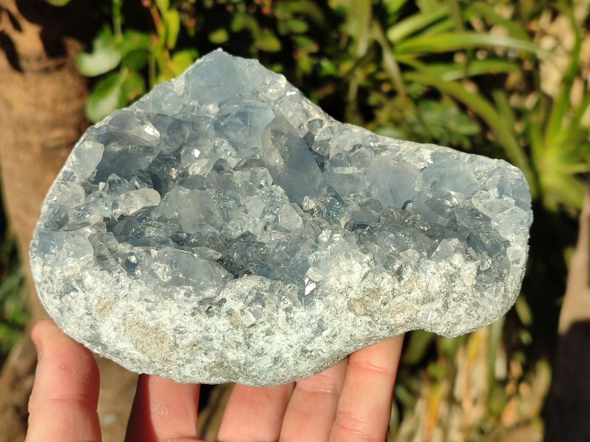 Natural Cabinet Size Blue Celestite Specimen x 1 From Sakoany, Madagascar - Toprock Gemstones and Minerals 