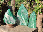 Polished Buddstone Display Crystals x 3 From Swaziland - Toprock Gemstones and Minerals 