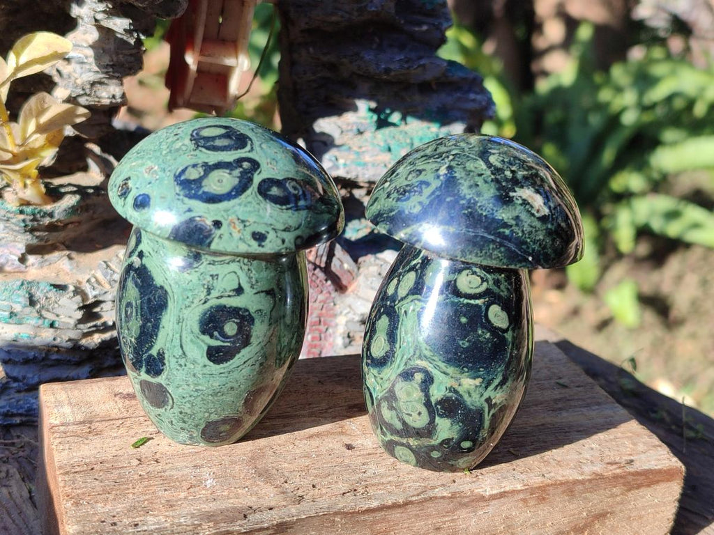 Polished Stromatolite "Kambaba Jasper" Mushrooms x 12 From Katsepy, Madagascar - Toprock Gemstones and Minerals 