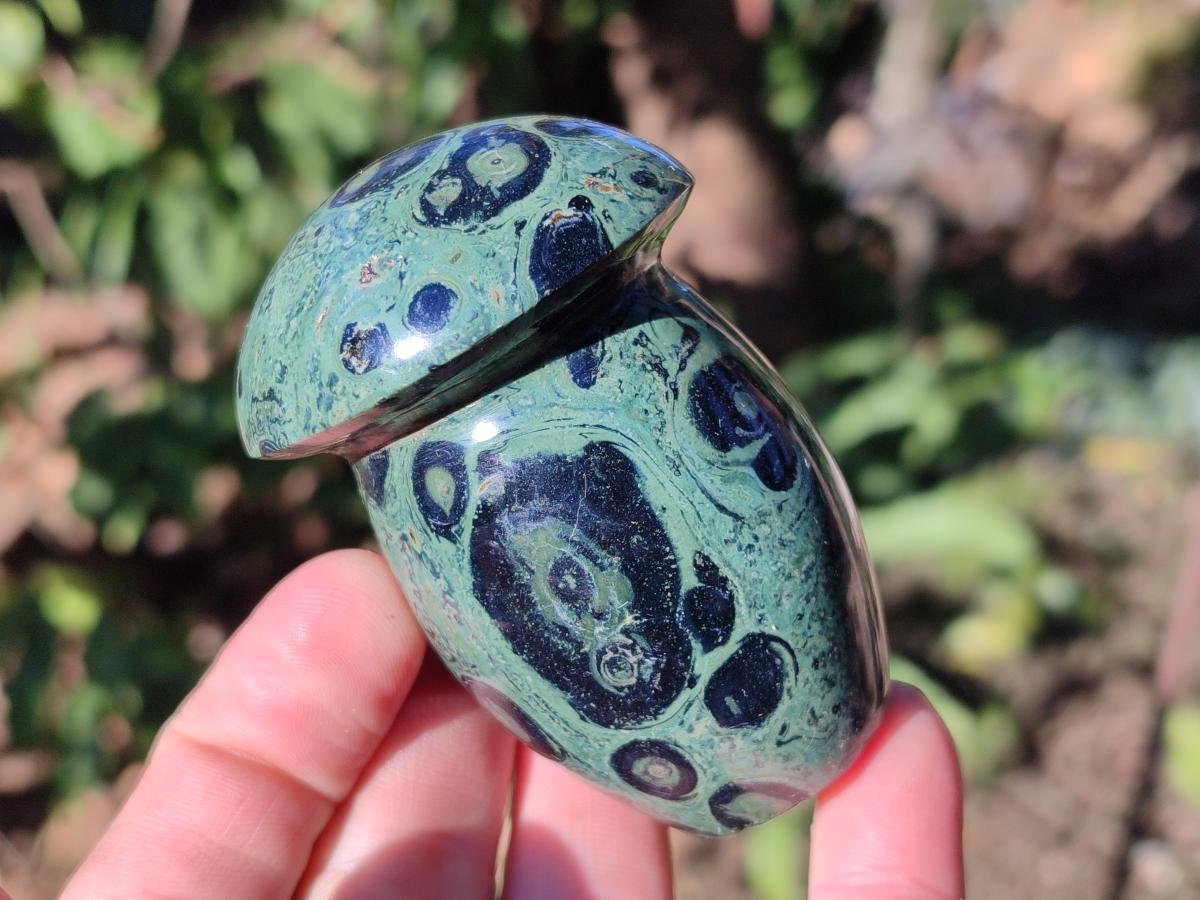 Polished Stromatolite "Kambaba Jasper" Mushrooms x 12 From Katsepy, Madagascar - Toprock Gemstones and Minerals 