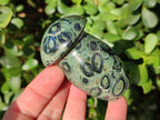 Polished Stromatolite "Kambaba Jasper" Mushrooms x 12 From Katsepy, Madagascar - Toprock Gemstones and Minerals 