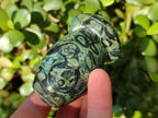 Polished Stromatolite "Kambaba Jasper" Mushrooms x 12 From Katsepy, Madagascar - Toprock Gemstones and Minerals 
